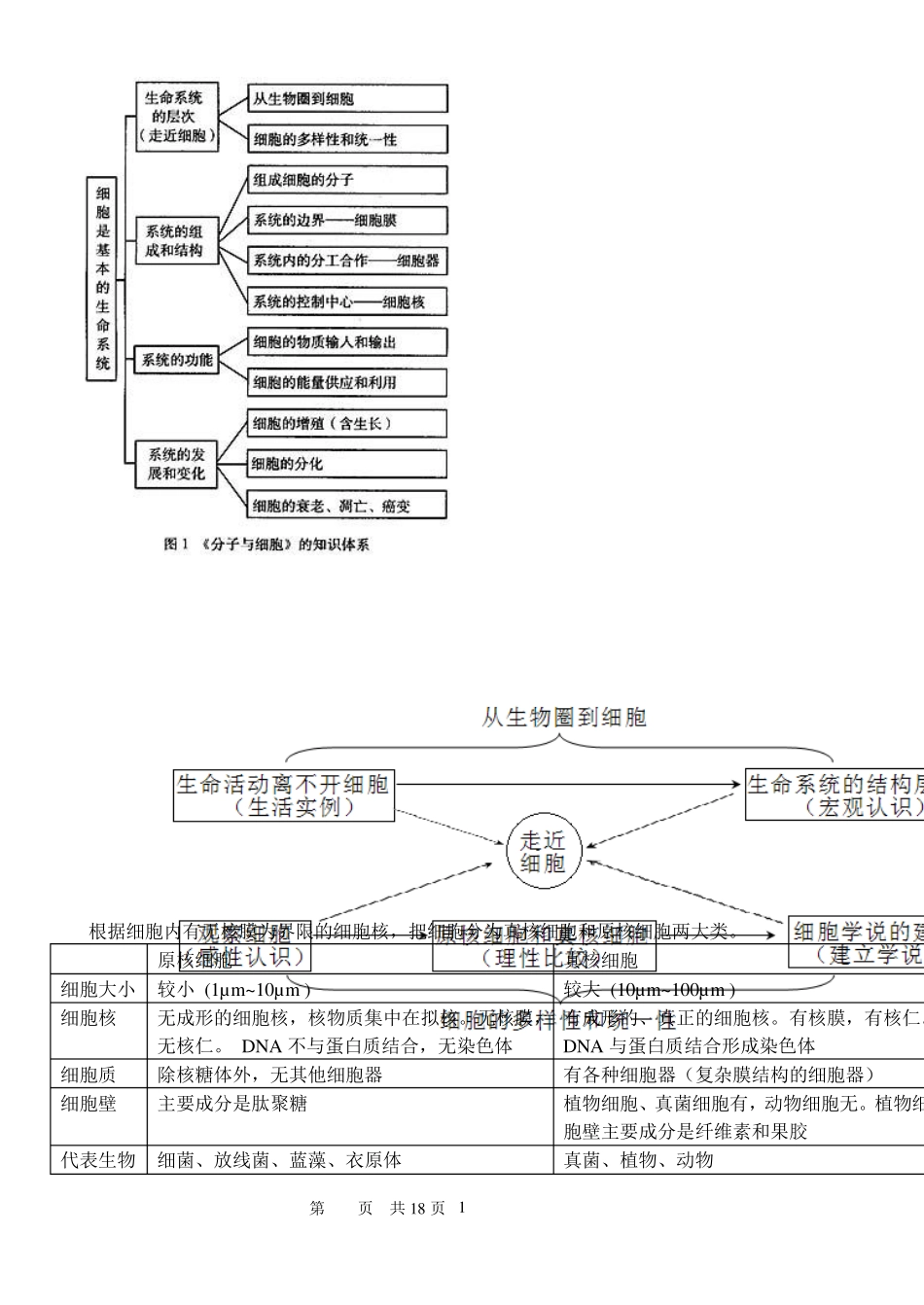 根据细胞内有无核膜为界限的细胞核,把细胞分为真核细胞和原核细胞..._第1页