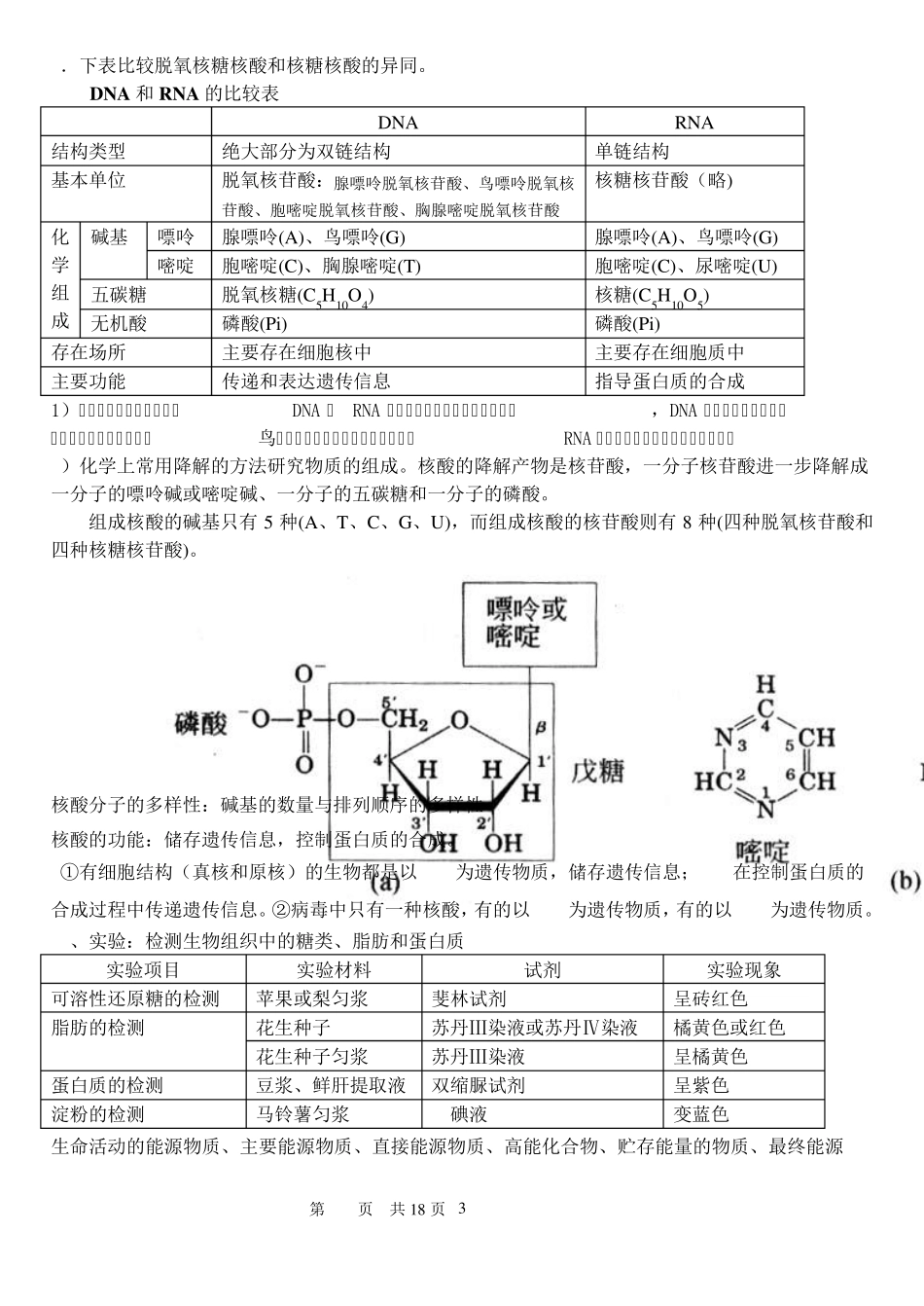 根据细胞内有无核膜为界限的细胞核,把细胞分为真核细胞和原核细胞..._第3页