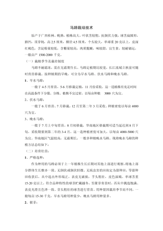 桂林马蹄栽培技术1