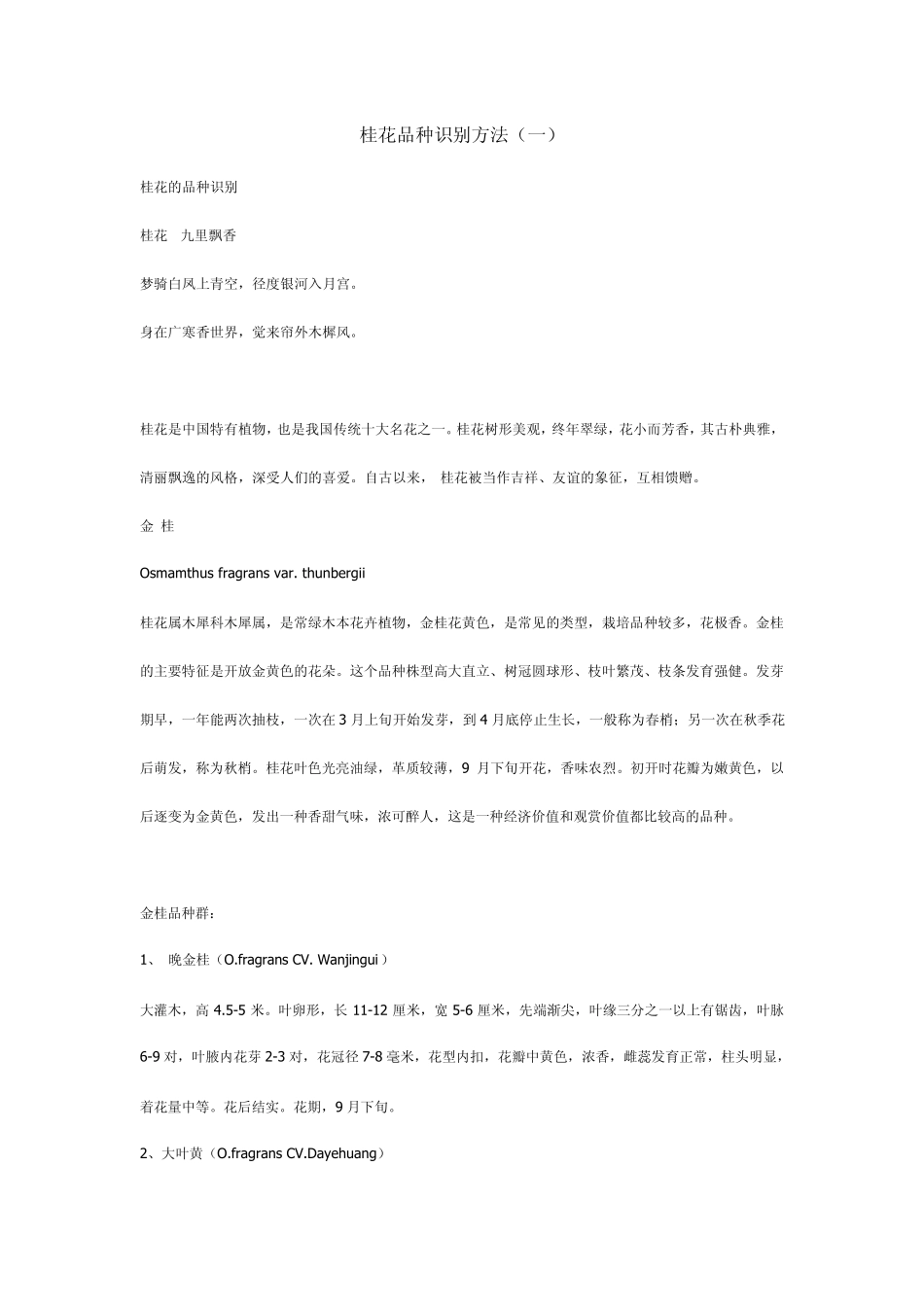 桂花品种识别_第1页