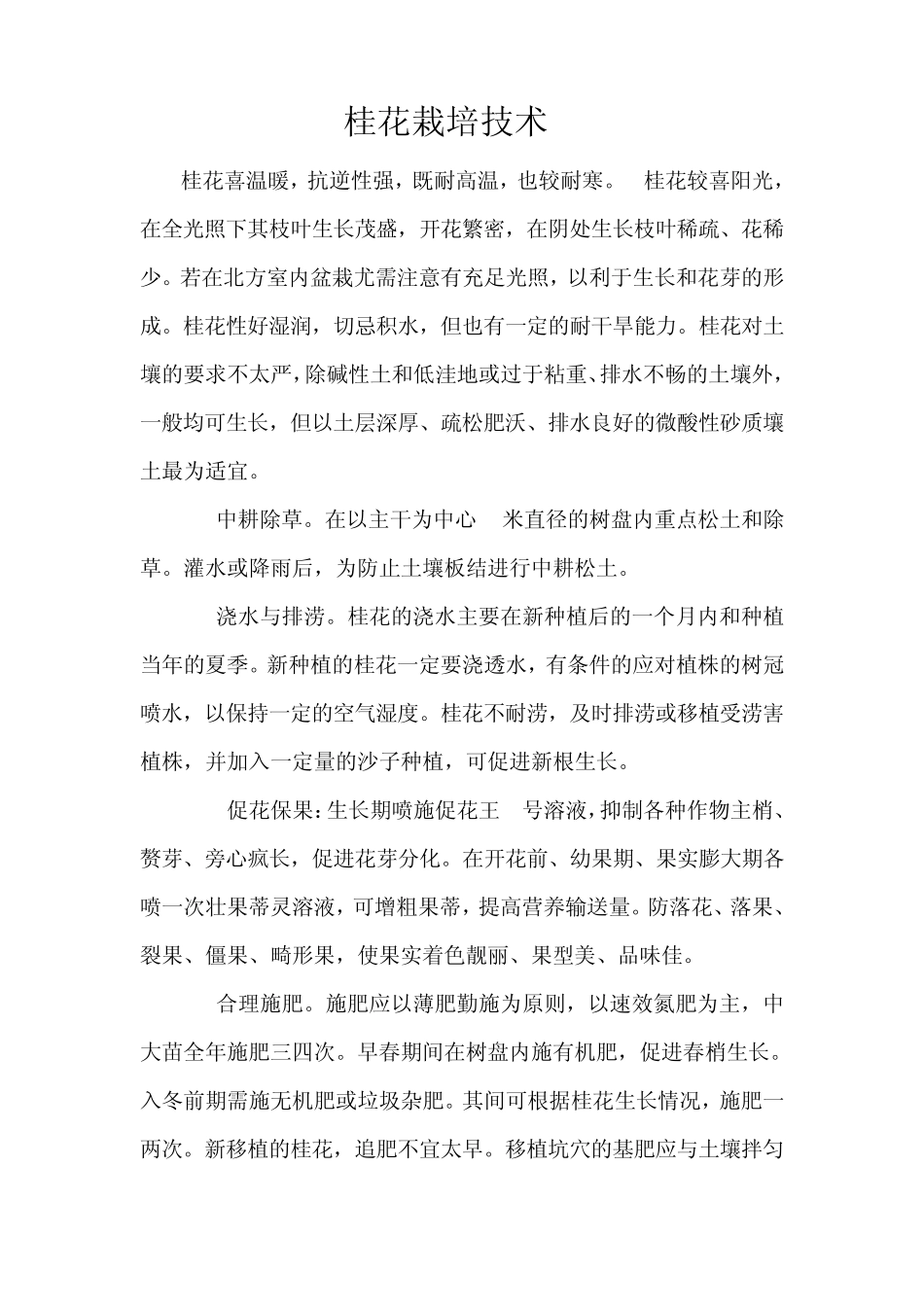 桂花树栽培技术_第1页