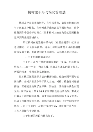 桃树主干形与简化管理法