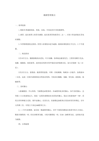 桃树各个季节管理