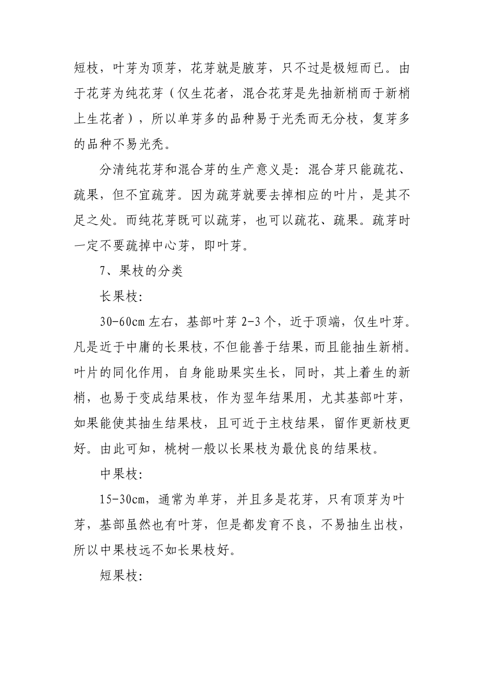 桃树纺锤形修剪技术_第2页