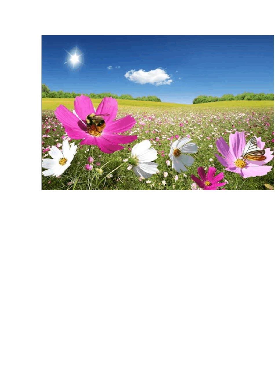 桌面背景图片(绝对经典)_第3页