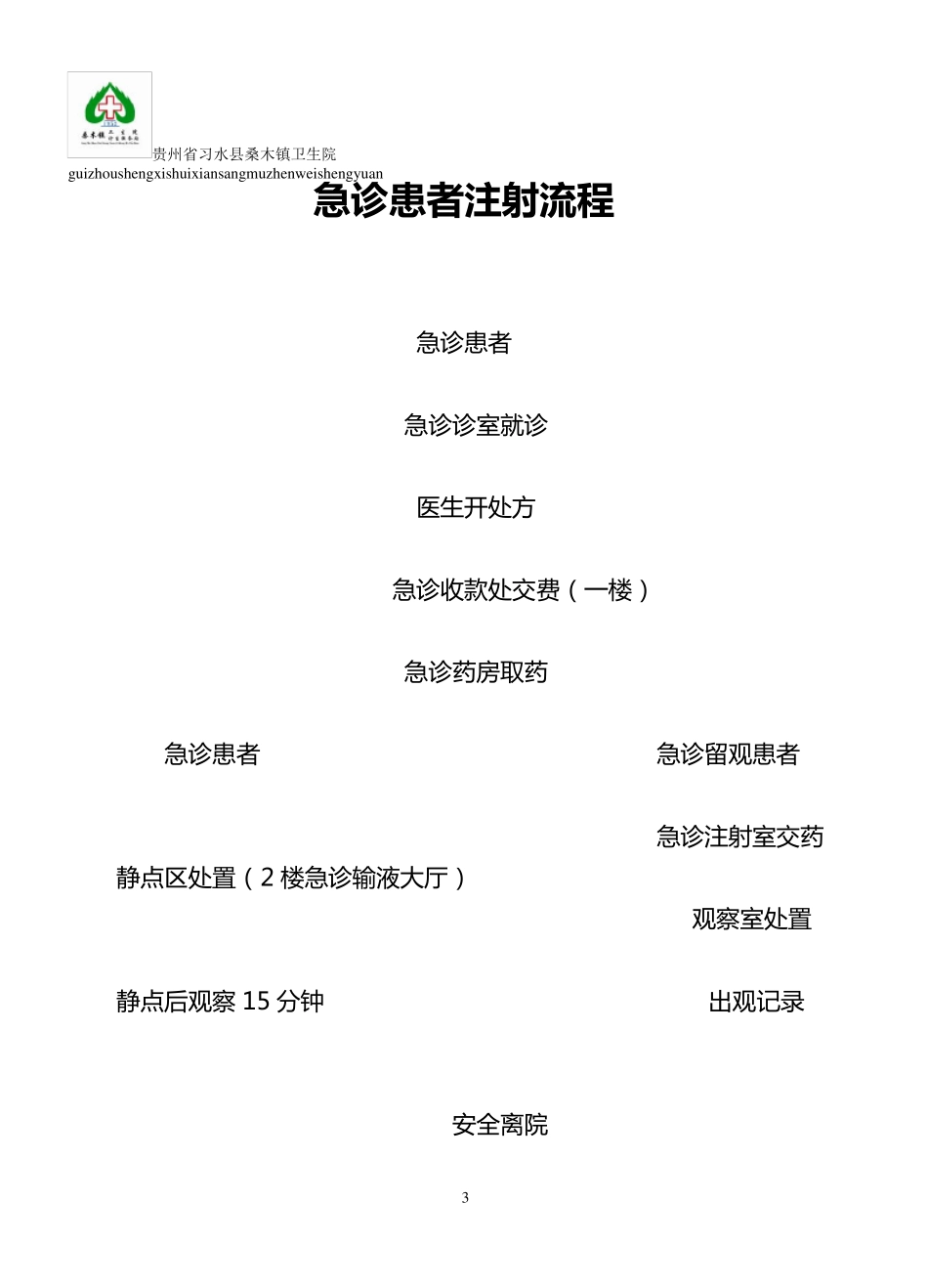 桑木镇卫生院急诊就诊流程图_第3页