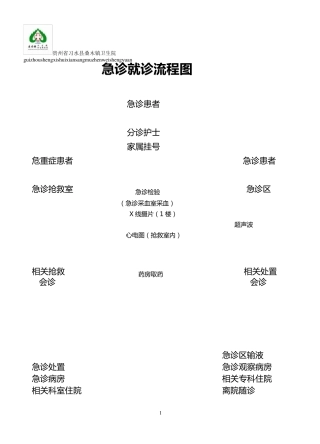 桑木镇卫生院急诊就诊流程图