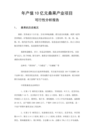 桑果可行性分析报告