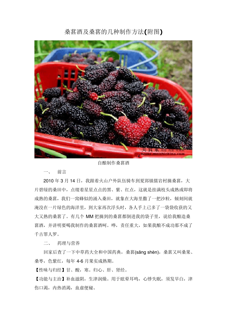 桑葚酒及桑葚的几种制作方法_第1页