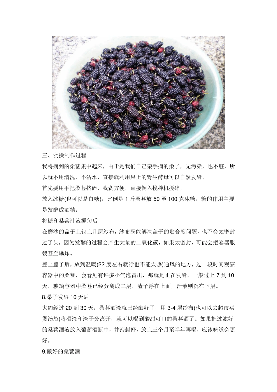 桑葚酒及桑葚的几种制作方法_第3页