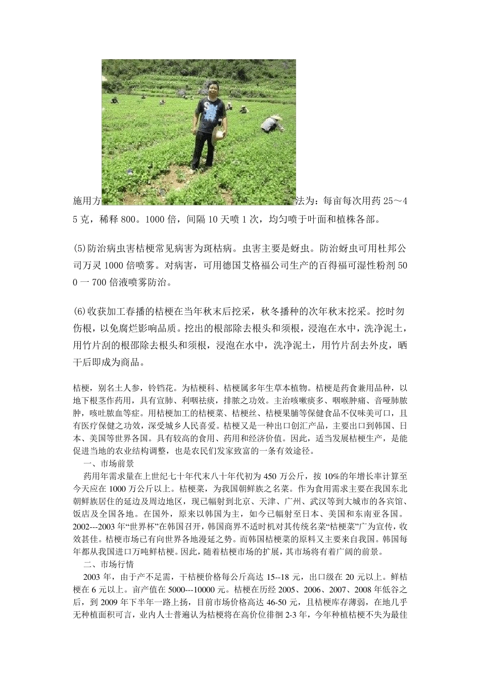 桔梗高产栽培技术_第2页