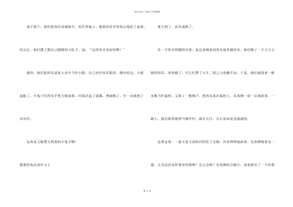 聪明的兔兄弟_第2页