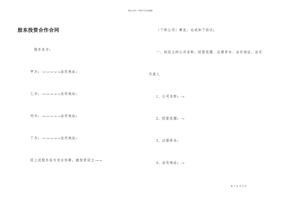 股东投资合作合同_第1页