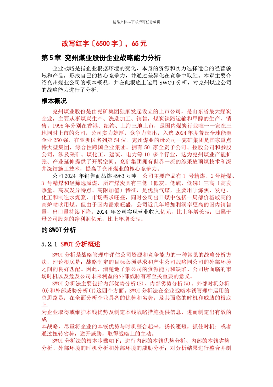 股份有限公司发展战略研究_第1页