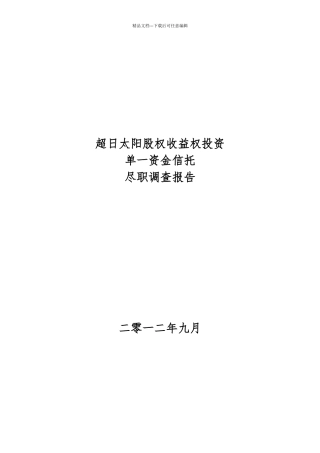股权收益权投资尽职调查报告