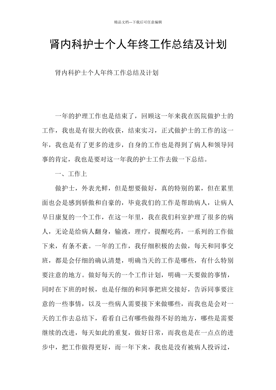 肾内科护士个人年终工作总结及计划_第1页