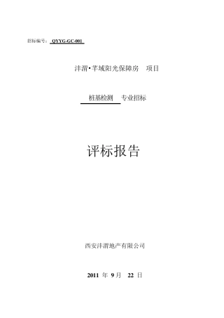 桩基检测招标评标报告
