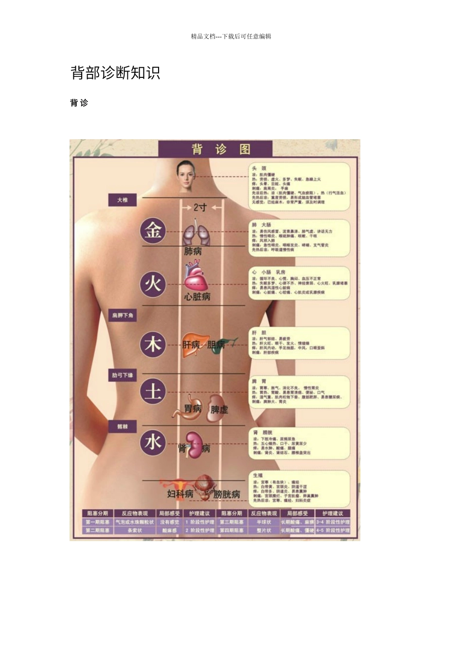 背部诊断知识_第1页