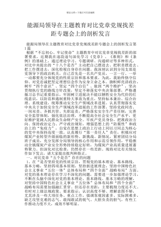 能源局领导在主题教育对照党章党规找差距专题会上的剖析发言