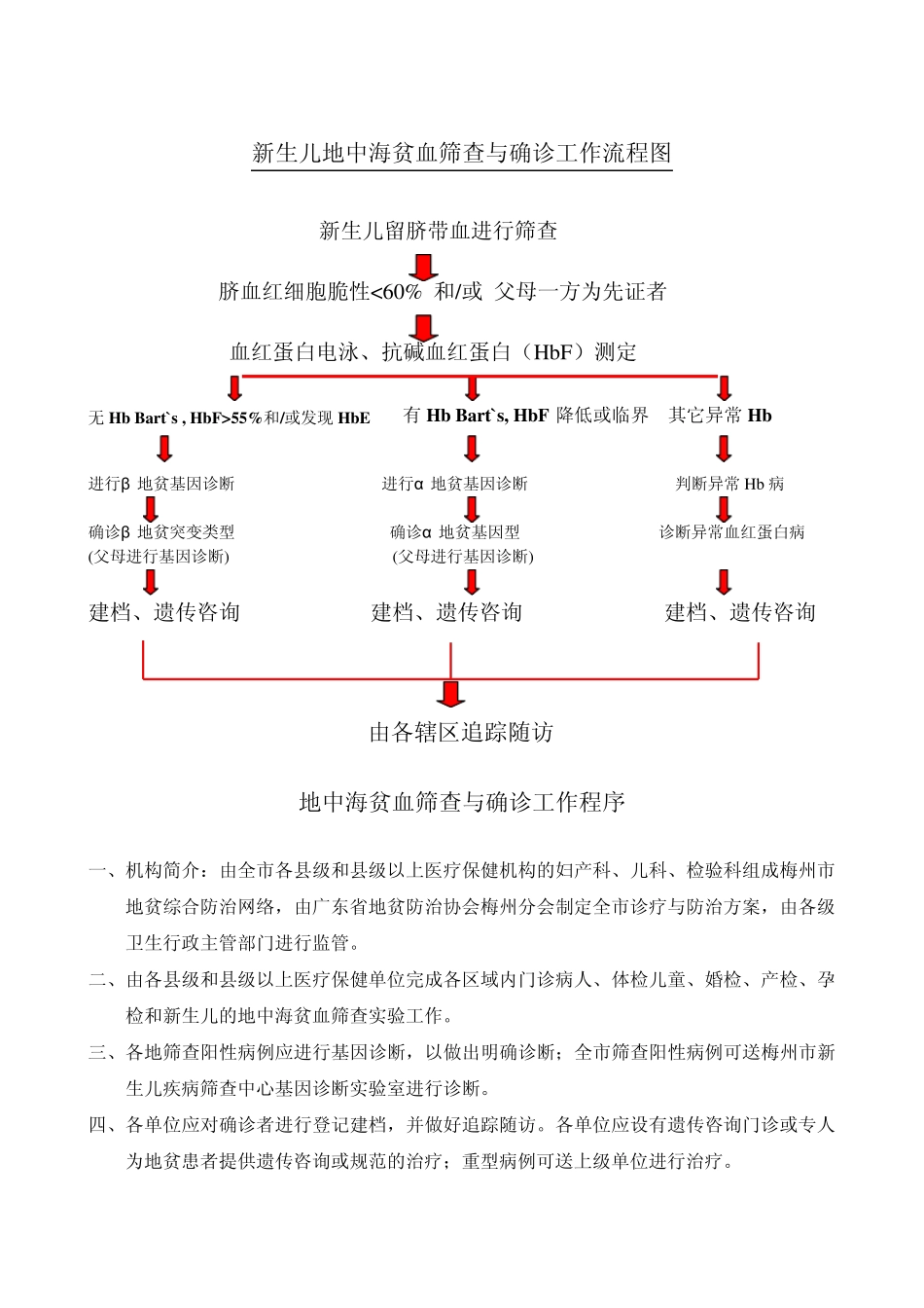 梅州市地中海贫血病诊断与治疗规范_第2页