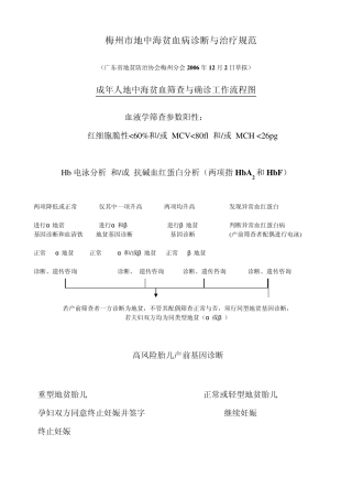 梅州市地中海贫血病诊断与治疗规范