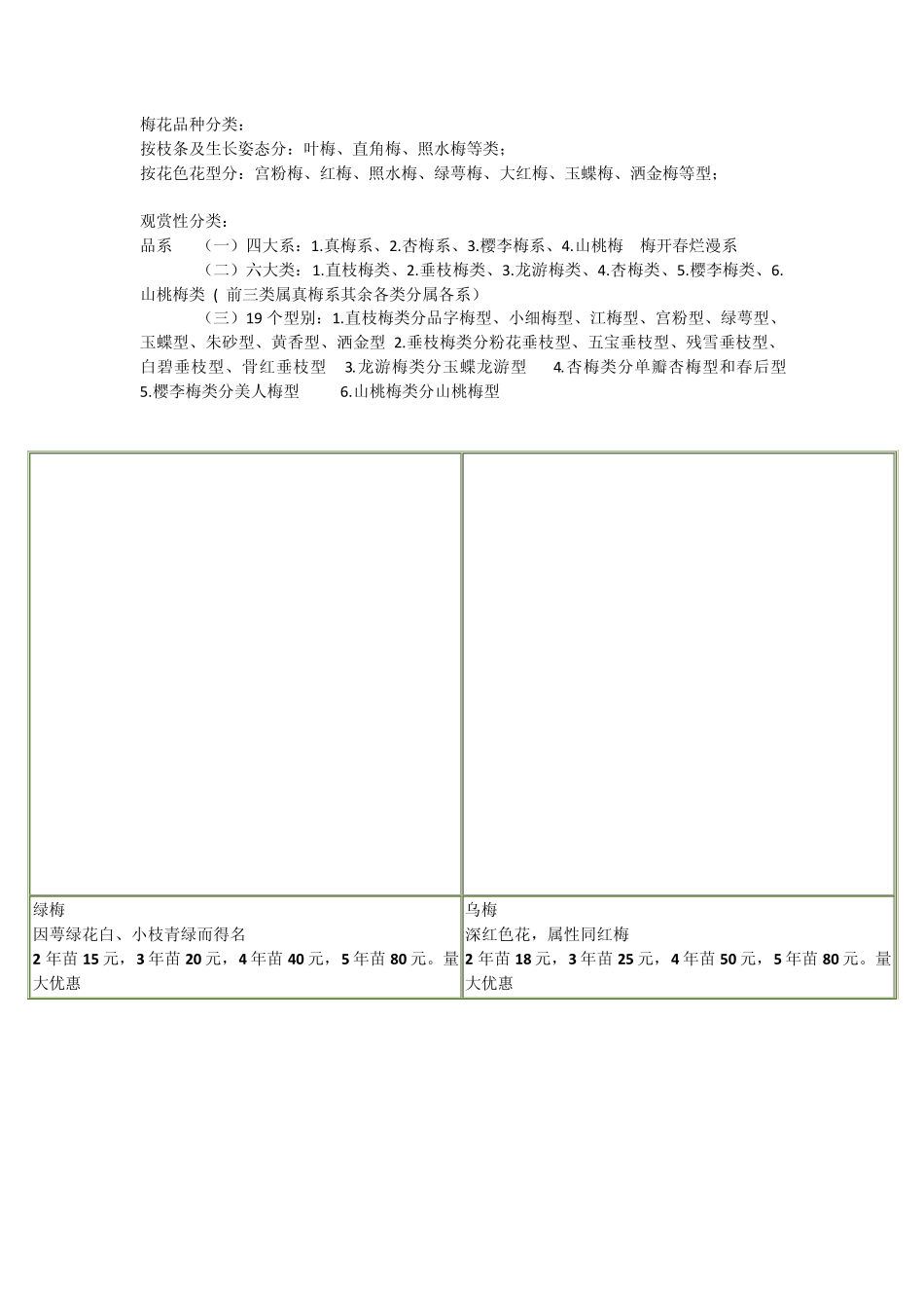 梅花品种分类_第1页