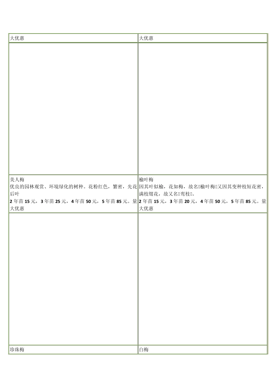 梅花品种分类_第3页