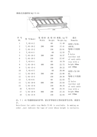 梯级式直通桥架XQJT101