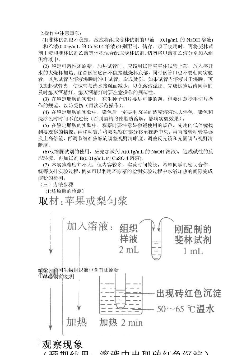 检验还原性糖、脂质和蛋白质_第3页