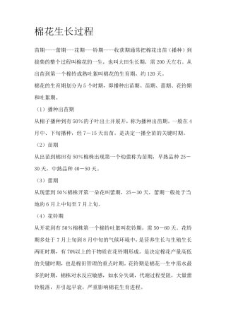 棉花生长过程