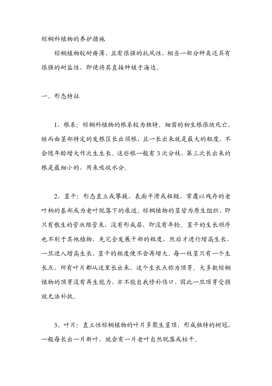 棕榈科植物的养护措施_第1页