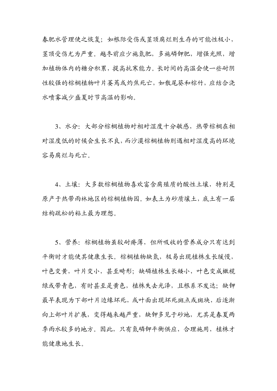 棕榈科植物的养护措施_第3页