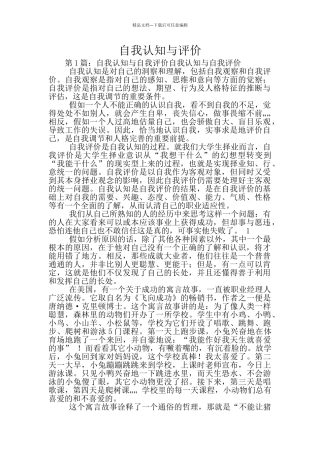 自我认知与评价