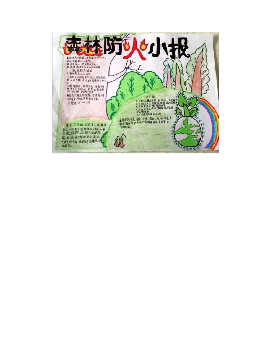 森林防火手抄报一等奖_第3页
