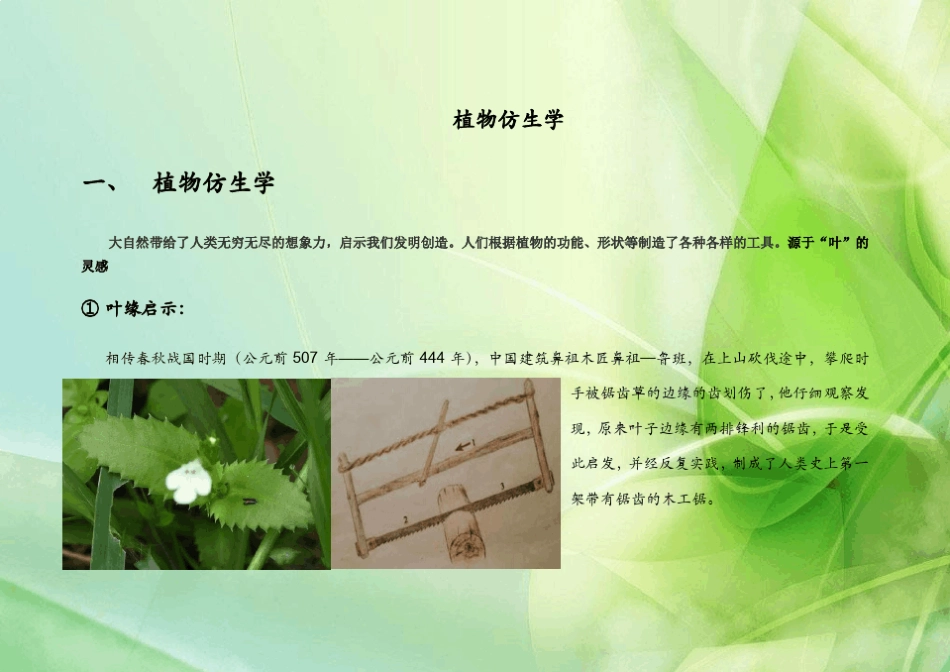 植物仿生学实例_第1页