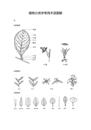 植物分类学常用术语图解
