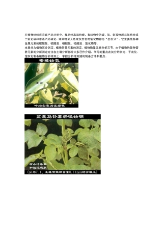 植物化学成分测定