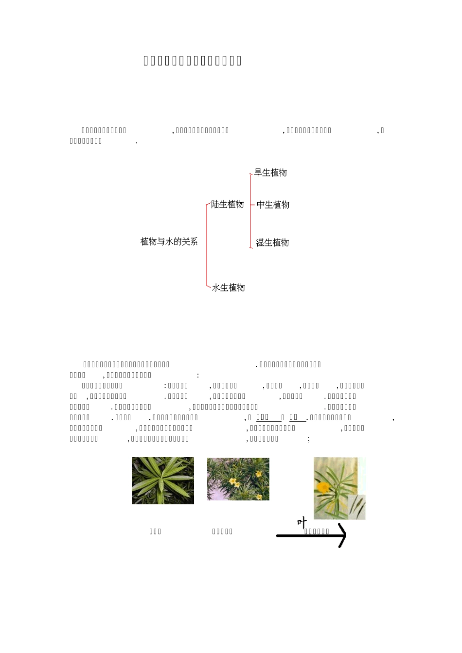 植物叶的形态结构与环境的关系_第1页