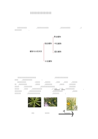 植物叶的形态结构与环境的关系