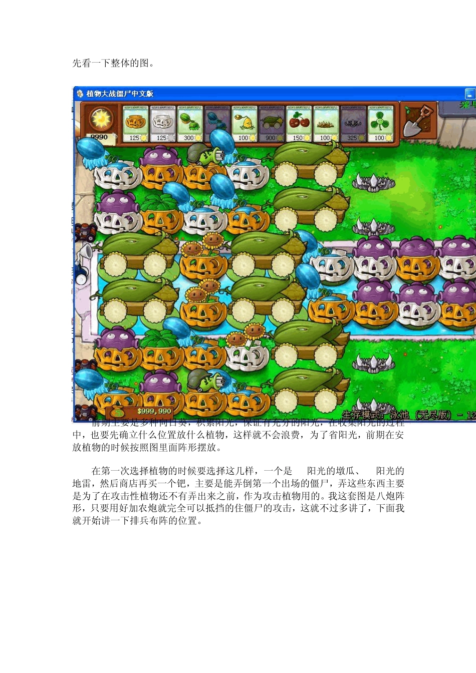 植物大战僵尸无尽版布阵图(详解)_第1页