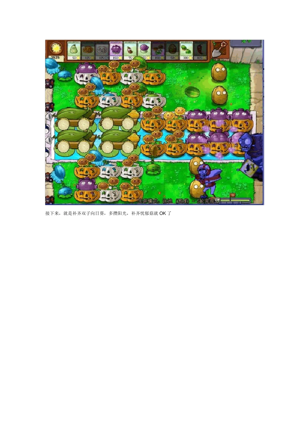 植物大战僵尸无尽版攻略秘籍_第2页