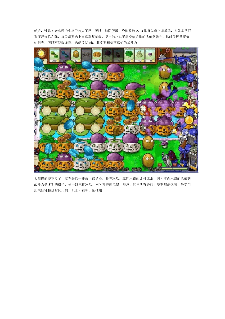 植物大战僵尸无尽版攻略秘籍_第3页