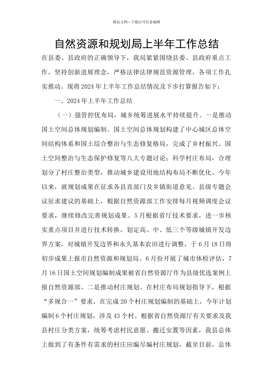 自然资源和规划局上半年工作总结_第1页