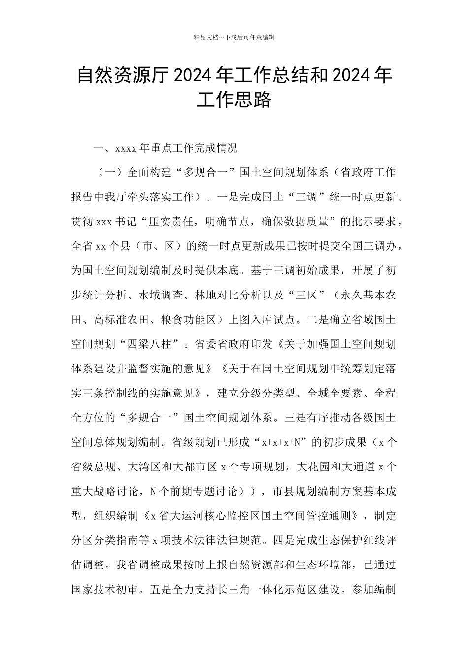 自然资源厅2024年工作总结和2024年工作思路_第1页