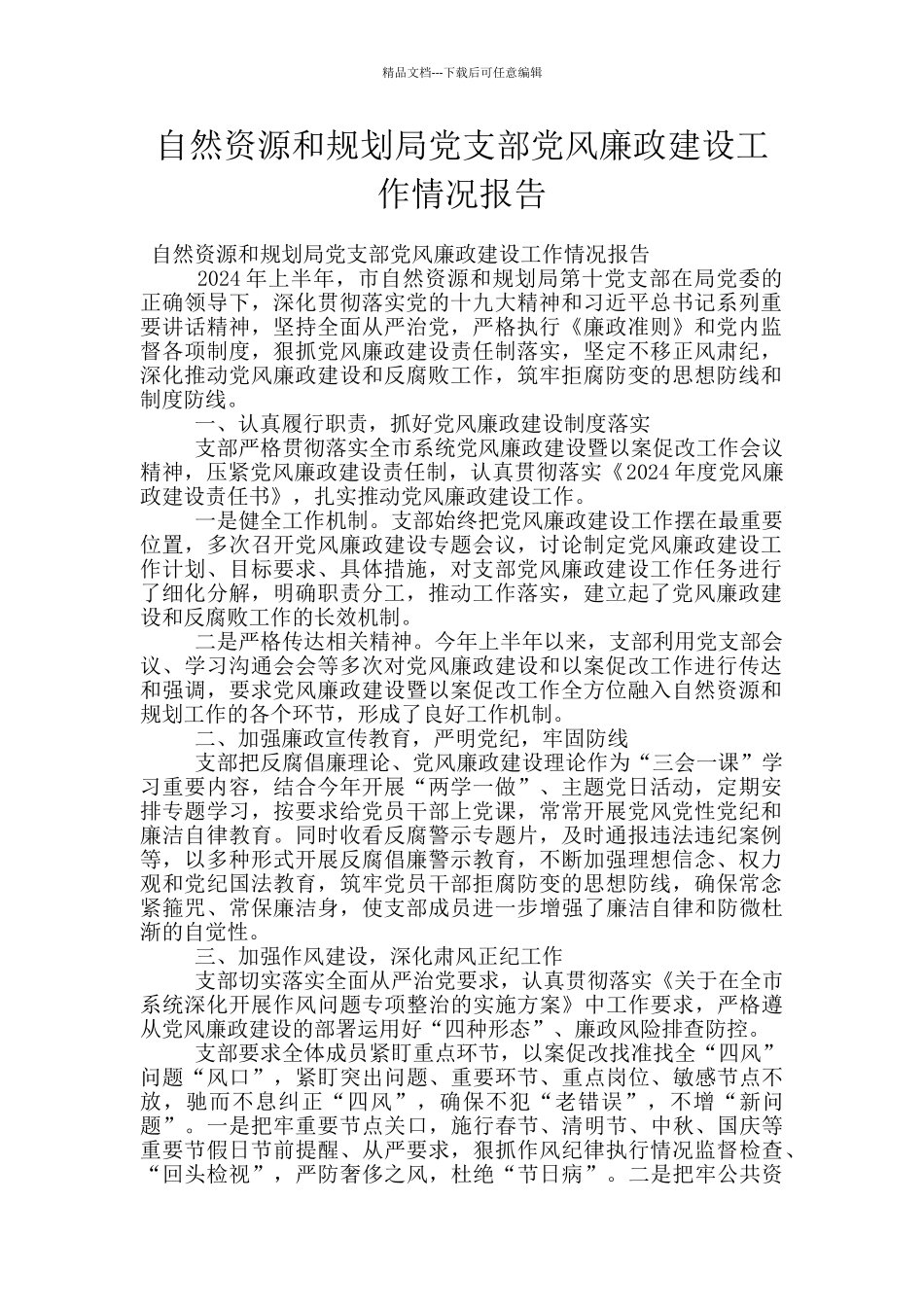 自然资源和规划局党支部党风廉政建设工作情况报告_第1页
