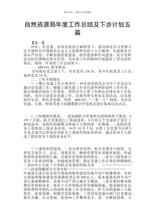 自然资源局年度工作总结及下步计划五篇