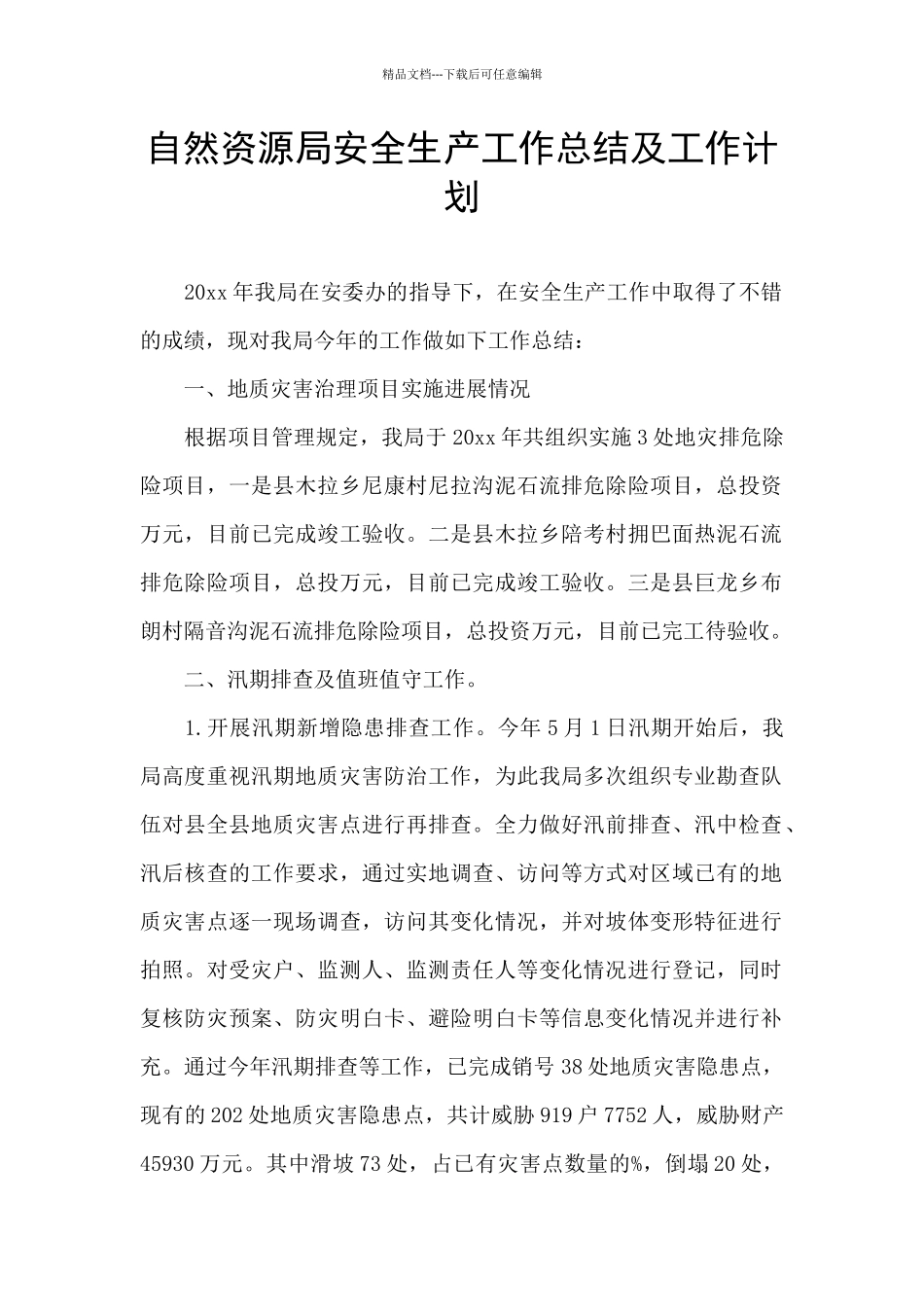 自然资源局安全生产工作总结及工作计划_第1页