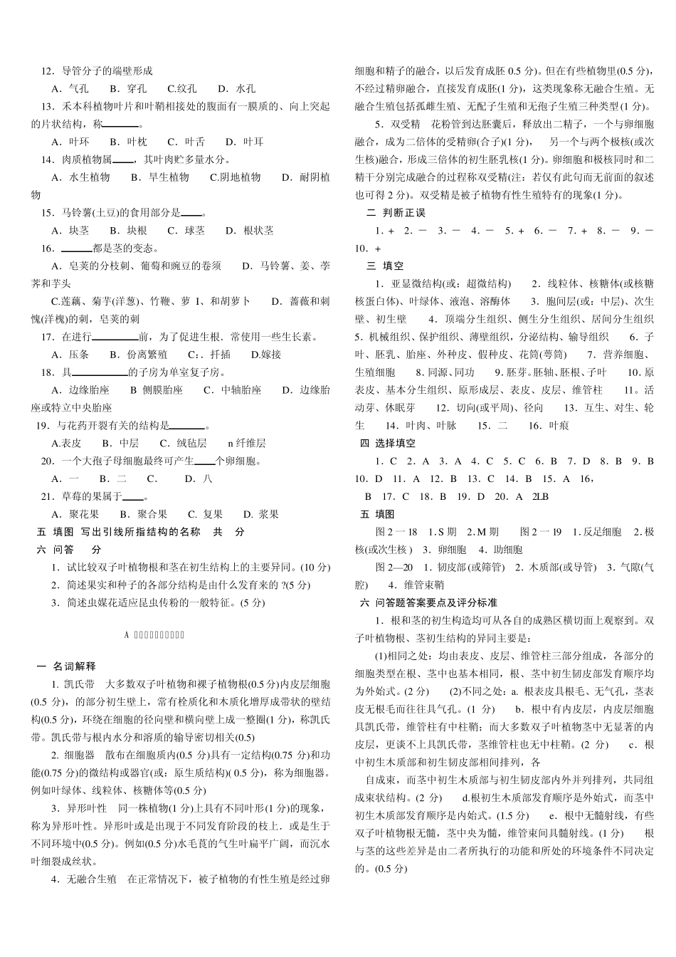 植物学试卷及答案_第2页