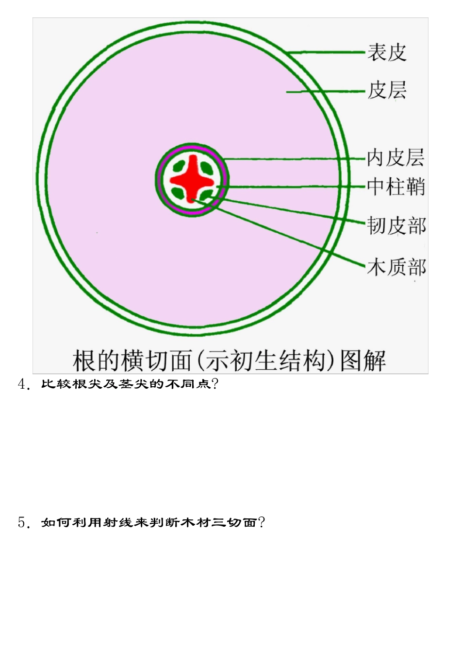 植物学问答题题库及答案_第2页