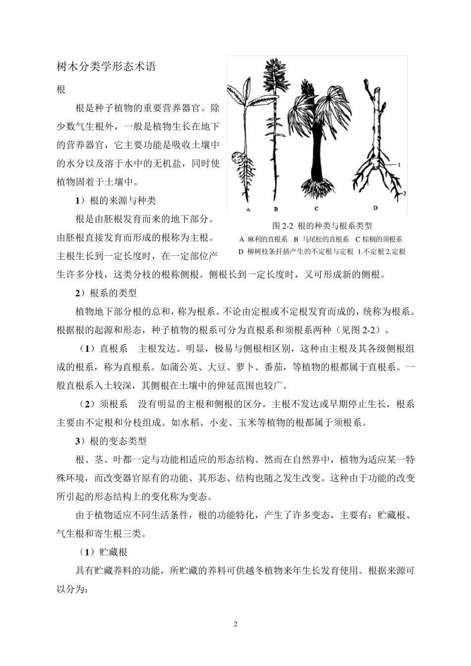 植物形态术语_第2页